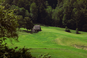 Old barn on vibrant green grass meadow with view on the forest. Rural landscape in summer Switzerland. 