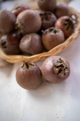 medlar is a brownish fruit of the winter