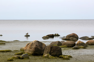 Rigas bay, Latvia