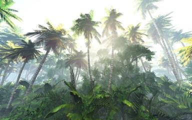 Fototapeta premium palmowa dżungla rano we mgle, las we mgle. Renderowanie 3d.