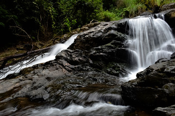 waterfall in forest