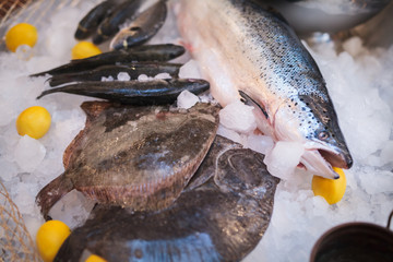 fresh fish and oysters in the restaurant.