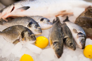 fresh fish and oysters in the restaurant.