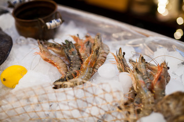 fresh fish and oysters in the restaurant.