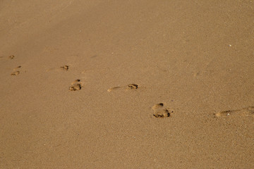 Fototapeta na wymiar footprints of man in the sand