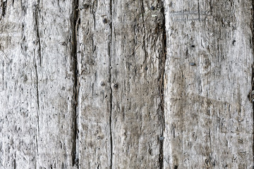 Old barn wood wide plank antique stable floor wood grain with beautiful patina from centuries of use for grunge wooden background 