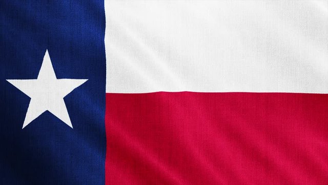USA State Texas flag is waving 3D rendering.