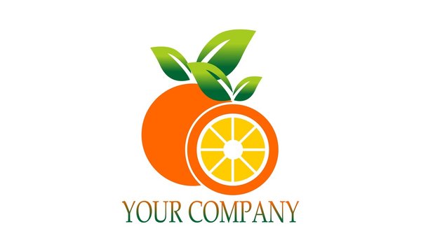 Eco doble orange fruit logo vector image illustration