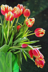 Spring flower composition tulips in bouquet