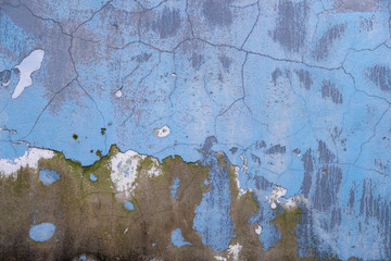 Abstract grunge texture of old colorful wall with cracks and scratches. Creative background. Blue, grey and green rough weathered stone texture with  moss, stucco and paint. Copy space	