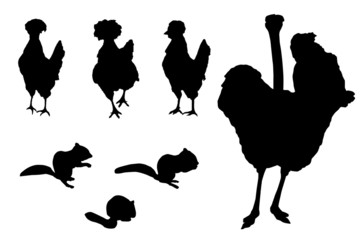 Outline drawing of an ostrich, chicken, chipmunk. Black silhouette on a white background.