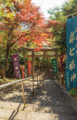 京都、松ヶ崎大黒天（妙円寺）の二の鳥居がみえる紅葉の風景