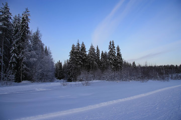 Russia.Karelia. Wonderful winter day.December.2019.