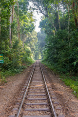 Fototapeta premium Railway over the Lawachara national park near Srimangal - Bangladesh