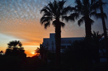 Costa del Sol, Andalucia, Spain