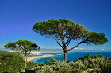 Costa del Sol, Andalucia, Spain - obrazy, fototapety, plakaty
