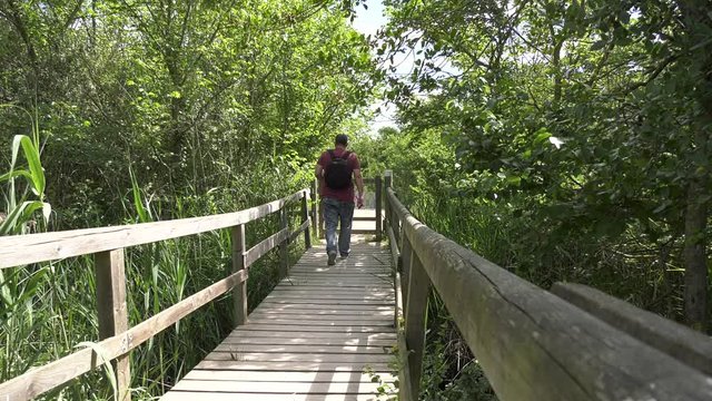 Puente de madera