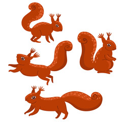Set of red squirrels isolated on a white background. vector graphic.