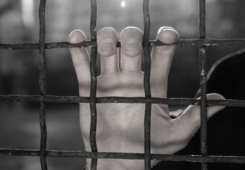 Hands of the prisoner on a steel lattice close up