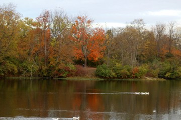 Fototapeta na wymiar The beautiful autumn evening at the lake in the park.