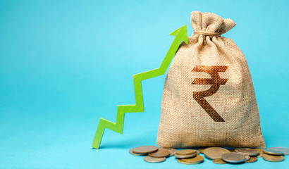 Money bag with coins and up arrow. The concept of a successful business. Increase profits and...