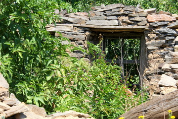 bird feeder in the garden