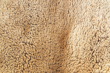 Brown fleece fur pattern texture abstract for background