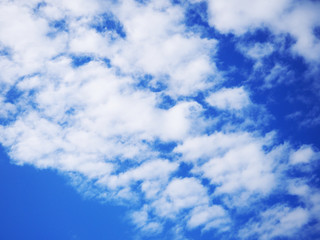 Obraz premium OLYMPUS DIGITAL CAMERA