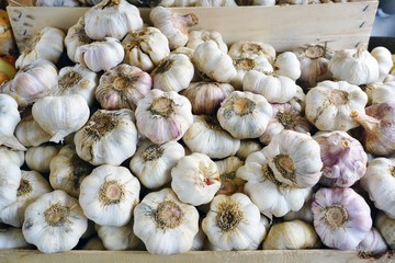 Fresh garlic at a farmers market in Belgrade, Serbia