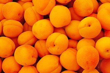 Ripe orange apricots in bulk at a farmers market