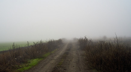 rural dirt road in foggy haze