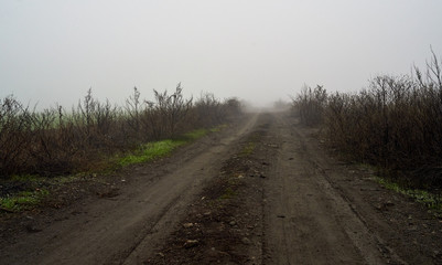 Fototapeta premium rural dirt road in foggy haze