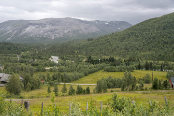 Fototapeta na wymiar hilly green woods and barren mountains, near Skiple, Norway