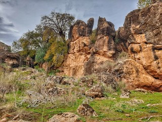 The landscape contains beautiful big stones between the plants