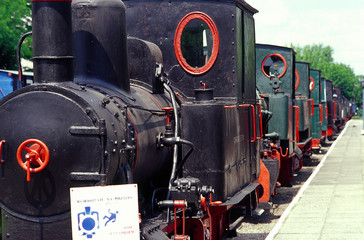 Narrow Gauge Railway Museum i Sochaczew, Poland - June, 2010
