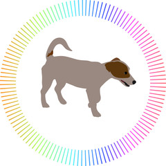 small dog color vector
