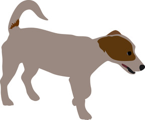 small dog color vector
