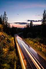 Metro Lighttrails im Wald