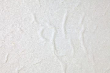 Fototapeta premium White Mulberry paper background.