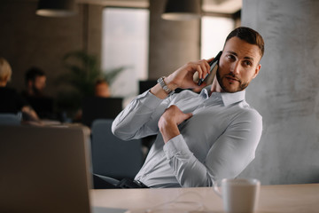 Businessman discussing work on phone. Portrait of handsome businessman 