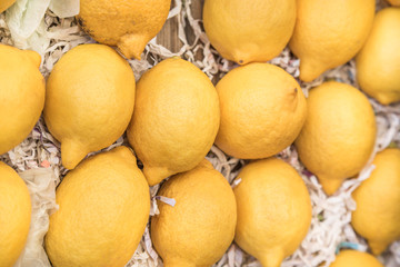 fresh and ripe lemons as a background