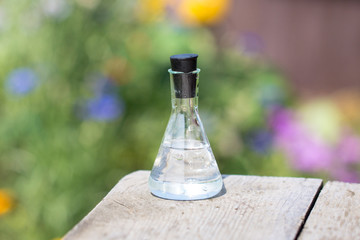 Pure water in a glass bottle on a background of green grass and flowers. Ecology concept.