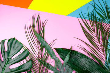 Mix of tropical green fresh leaves on geometric multicolored neon backgrounds. Summer concept.