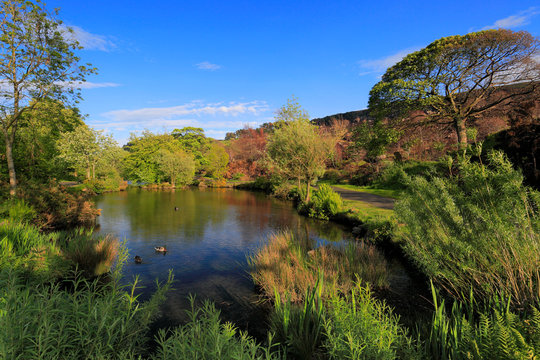 View over Ilkley Moor Tarn, above the town of Ilkley, West Yorkshire, England, UK