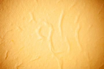 Yellow Mulberry paper background.