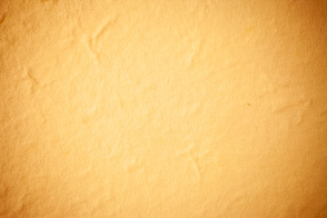 Yellow Mulberry paper background.