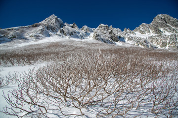 冬の千畳敷カール　雪山と雪原