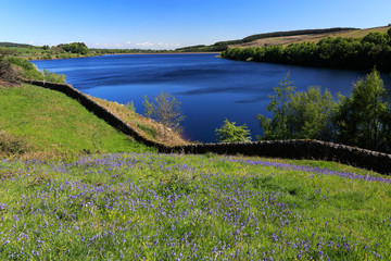 Spring view over Leighton Reservoir, Nidderdale, North Yorkshire, England, UK