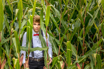 Fashionable agriculture - young man with a red bow tie hiding in a cornfield