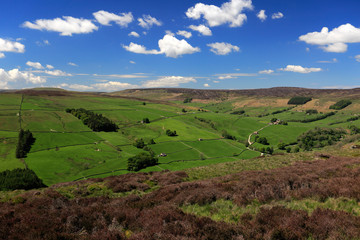 Fototapeta premium Summer view through Nidderdale ANOB, North Yorkshire, England.